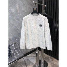 Loewe Sweaters